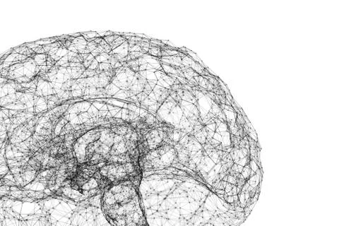Digital data and network connection of human brain isolated on white backgrou Illustrazione stock