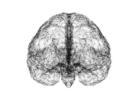 Digital data and network connection of human brain isolated on white backgrou Ilustración de archivo