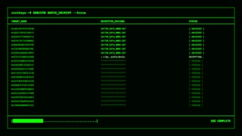 Digital data decryption interface with progress bar 스톡 동영상 347013282