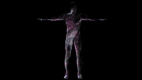 Digital data man01 Stock-Footage 342143289