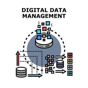 Digital data management processing and organizing information system 스톡 일러스트