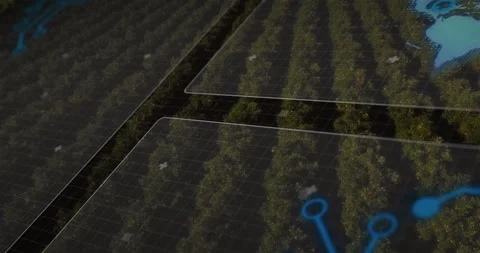 Digital data overlay with blue marker on aerial view of agricultural fields Stock Footage 305829120