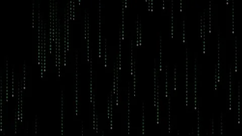 Digital data stream columns falling on black background 4K Stock Footage 337119194