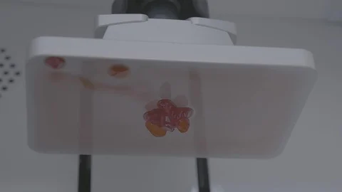Digital dentistry 3D printed teeth implants Stock Footage 99915637