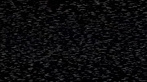 Digital disarray  A symphony of signal interference Stock Footage 301173331