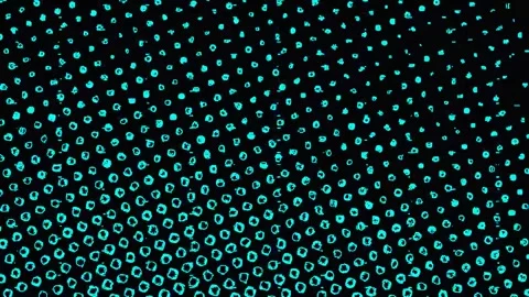 Digital Distortion Effect 4K — Bad TV Glitch Overlay Loop Stock Footage 329826259