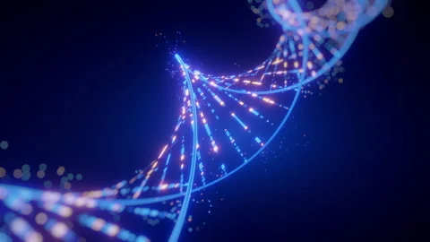 Digital DNA Helix Future of Genetic Computing, Data Algorithms and Artificial Stock Footage 339164632
