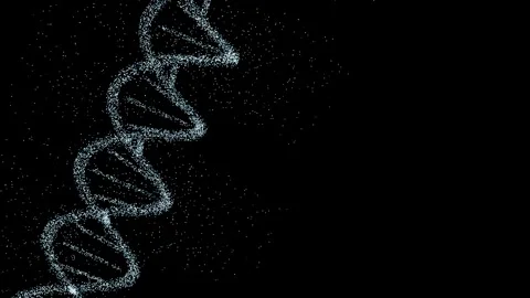 Digital DNA Helix : Profile Sway 4K Alpha Stock Footage 333701099