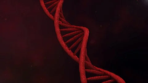 Digital DNA. Rotating DNA strands are assembled from individual elements Stock Footage 88241489