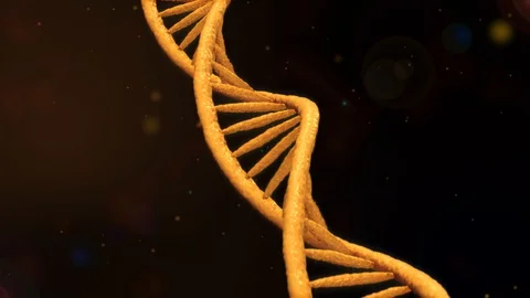 Digital DNA. Rotating DNA strands are assembled from individual elements Stock Footage 88259203