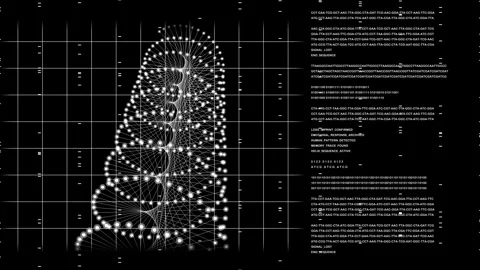 Digital DNA Sequence Helix Animation for Genetic Research and Biotech HUD Stock Footage 337462924
