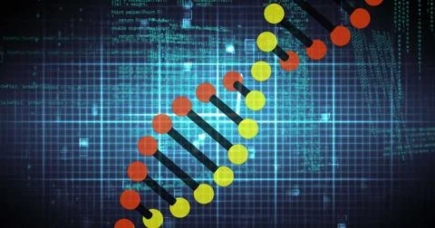 Digital DNA strand with binary code background representing genetic technology Stock Photos