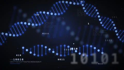 Digital DNA Strands And Binary Code Data Processing Background Stock Footage 348105355
