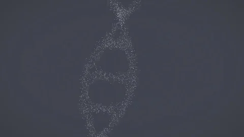 Digital DNA Structure Plexus. 3d render full HD Loop Stock Footage 69788968