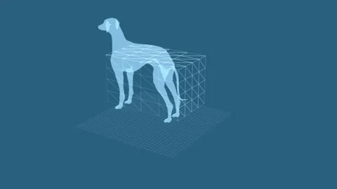 Digital Dog Model Exploring Futuristic Geometric Design in Virtual Reality .. 库存影片 344032633