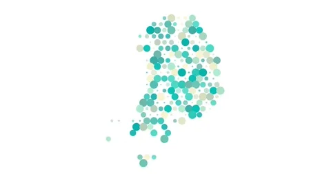 Digital Dots Create Map of South Korea Stock Footage 312475878