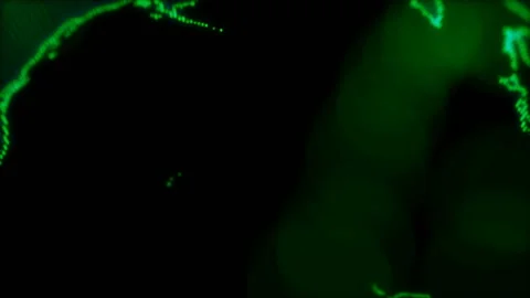 Digital earth zoom out Stock Footage 239268190