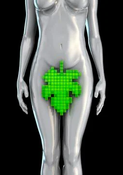 Digital Eve Illustrazione stock