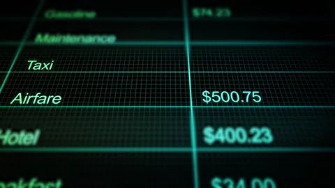 Digital Expense Report Accounting Software Vídeo Stock 344396566