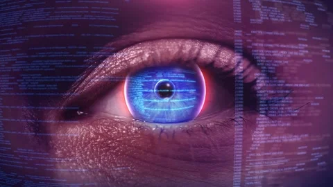 Digital Eye Biometric Scan eye biometric scan, intricate digital patterns Stock Footage 333969144