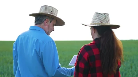Digital farming partnership, Problem solving on the farm, Agri-business Stock Footage 313624587