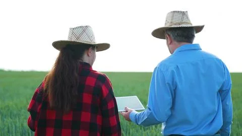 Digital farming partnership, Problem solving on the farm, Agri-business Foto stock