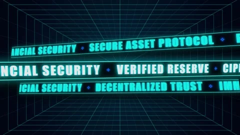 Digital financial security protocols protect systems from ransomware threat.. Stock-Footage 346968894