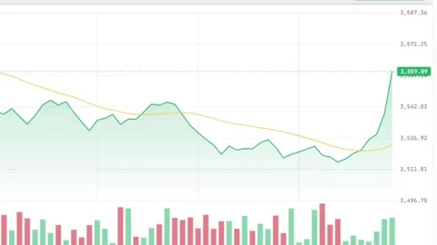 Digital financial trading chart Vidéo 333310970