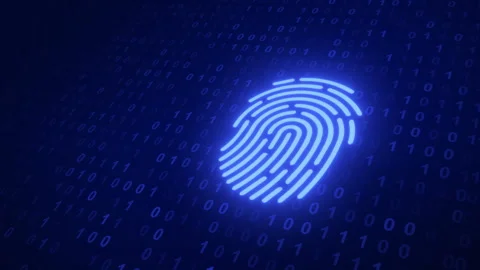 Digital Fingerprint with Binary Video Background Stock Footage 342472937