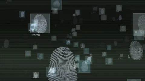 Digital Fingerprint Identity Cybersecurity Interface, Biometric Scanning Stock Footage 336403243