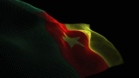 Digital Flag of Cameroon overlay Stock Footage 204051138