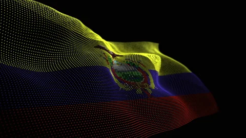 Digital Flag of Ecuador overlay Stock Footage 204064622