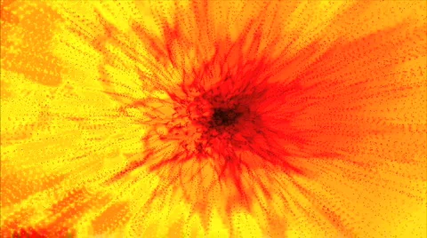 Digital flower Stock Footage 279737
