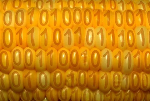 Digital food 库存插图