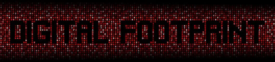 Digital Footprint text over hex code illustration Stock Illustration