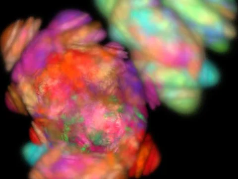Digital fractal 스톡 일러스트