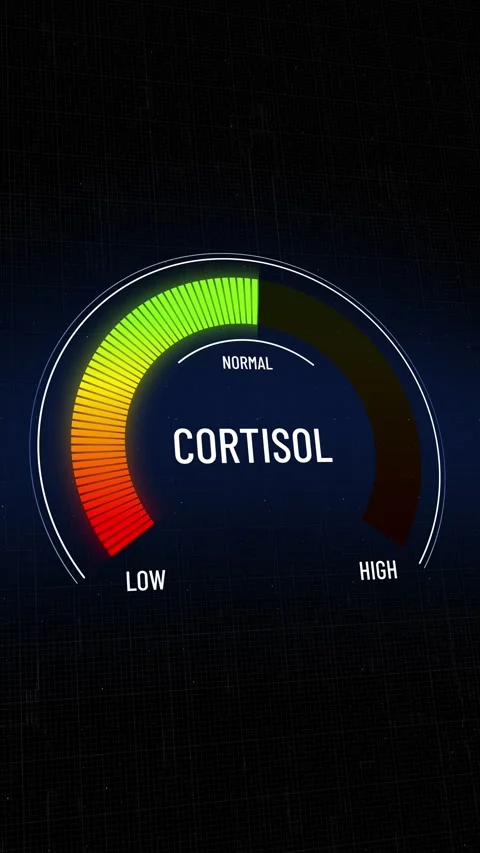 Digital gauge reading high cortisol stress hormone level decreasing to normal 库存影片 319541618