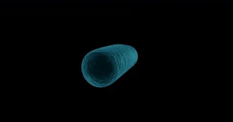 Digital generated bacteria cell against white background Stock Footage 72859957