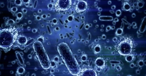 Digital generated bacteria cells flowing against blue background Stock Footage 72859668