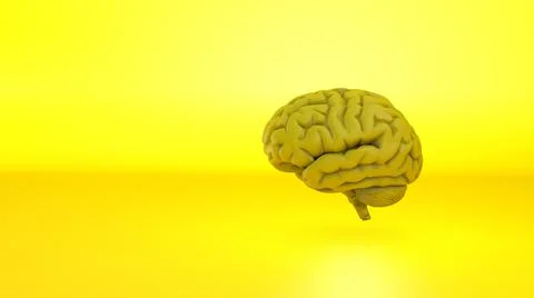 Digital generated image of yellow brain on yellow background. Stock Illustration