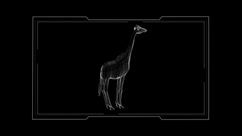 Digital Giraffe Wireframe Art on Black Backdrop with Futuristic Design Elemen 库存影片 342605790