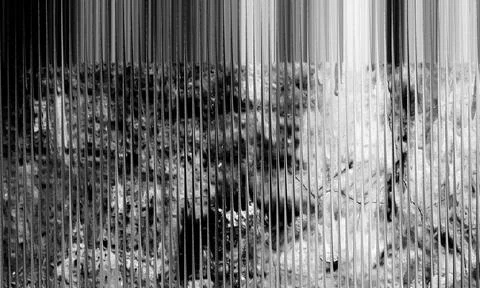 Digital Glitch Effect Background with Black and White Scan Lines and Corrup.. Stock Illustration