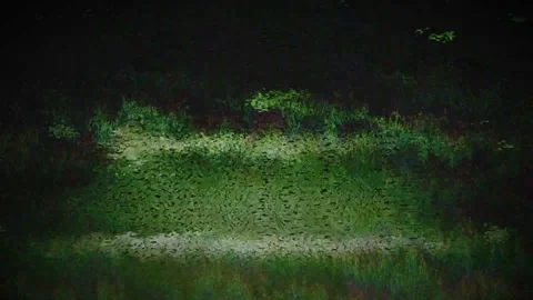 Digital Glitch Noise Concept Stock Footage 327963948