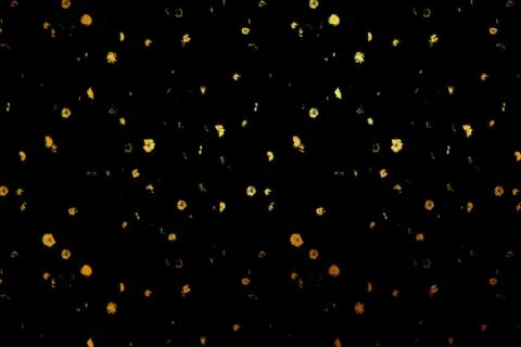 Digital golden shiny texture pattern. Creative abstract. Stock Illustration