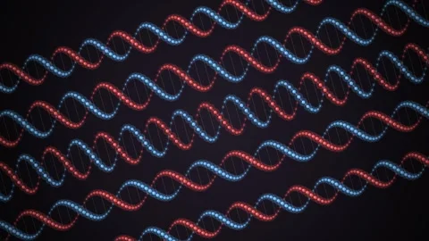A digital graphic background featuring multiple glowing blue and red DNA do.. Stock Footage 346723342