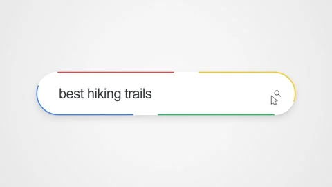 Digital Graphic - Google Search Bar - Best Hiking Trails - Query Field Stock Footage 338395219