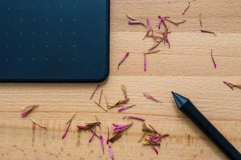 Digital graphic tablet and pen Stock Photos