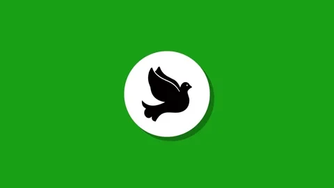 Digital graphics resourse icon footage  black white green background Stock Footage 327763231