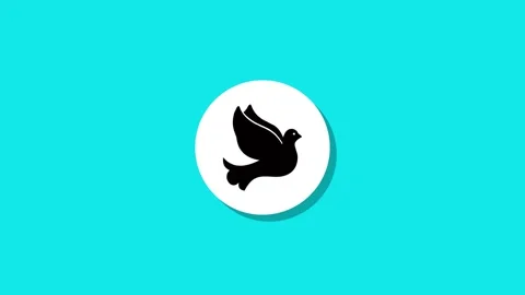 Digital graphics resourse icon footage  black white green background Vidéo 327763233
