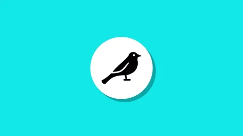 Digital graphics resourse icon footage  black white green background Stock Footage 327763234